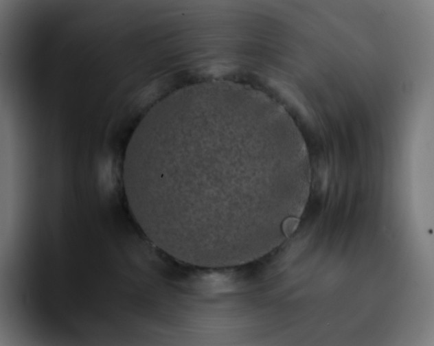 X0000093150236200710101141