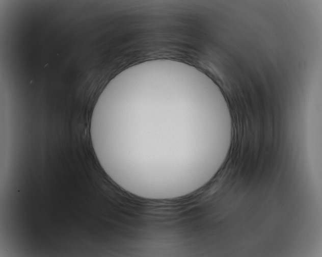 X0000093150237200710101141