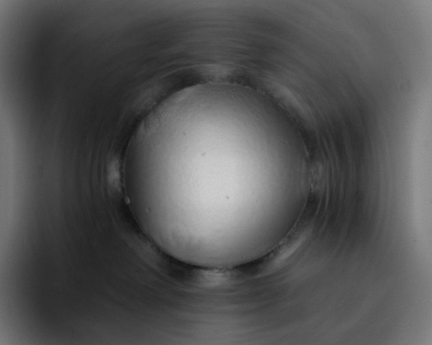 X0000093150238200710101141