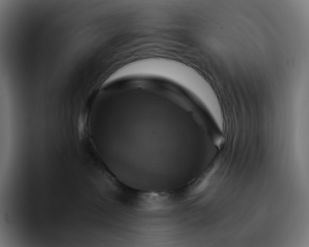 X0000093150239200710101141