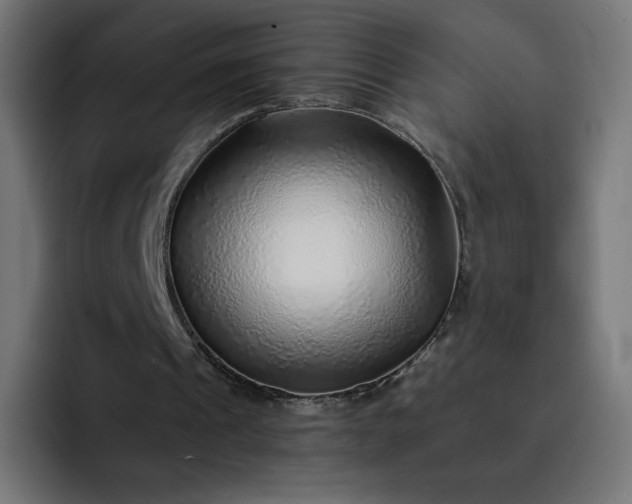 X0000093150241200710101141