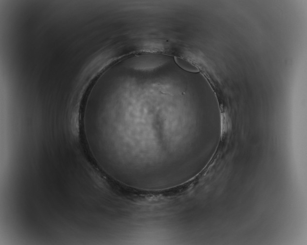 X0000093150243200710101141