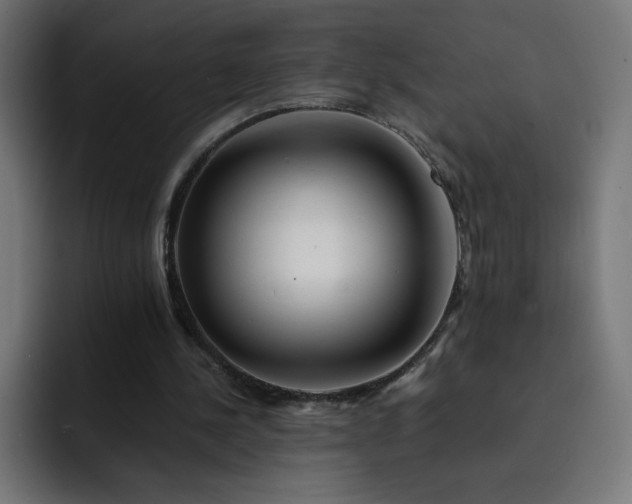 X0000093150244200710101141