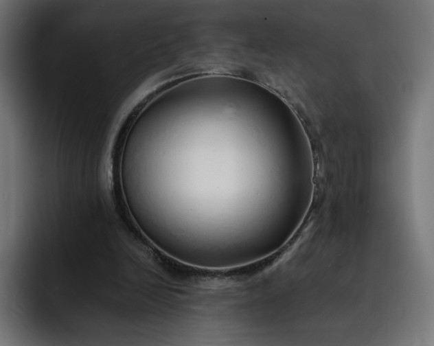 X0000093150246200710101141