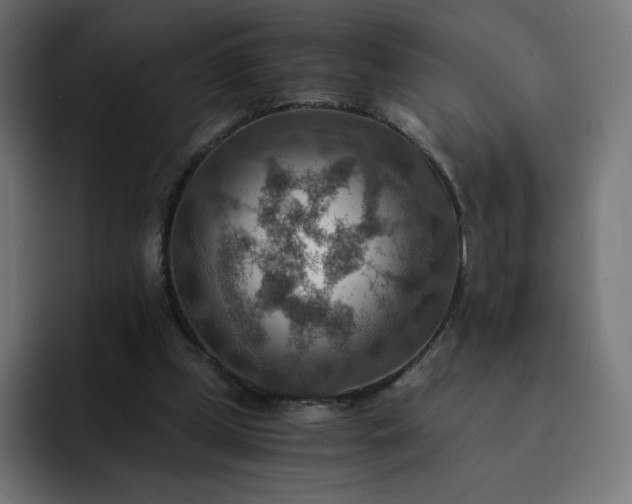 X0000093150249200710101141