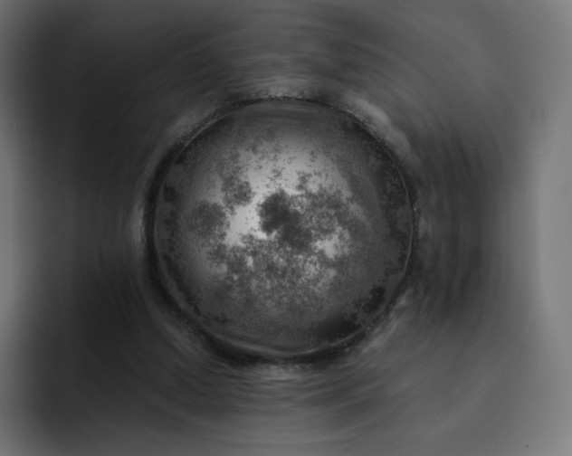 X0000093150250200710101141