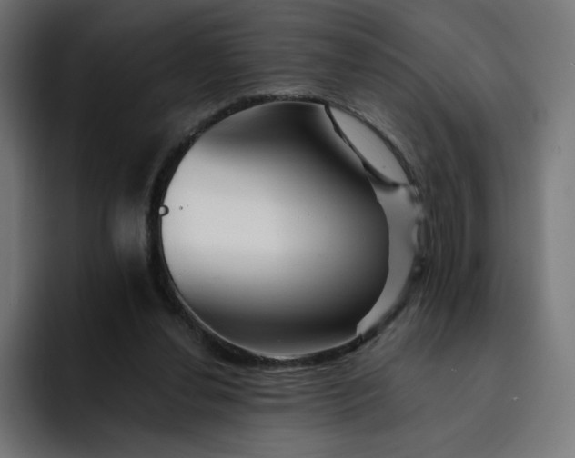 X0000093150252200710101141