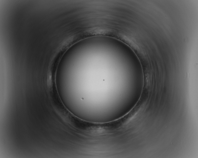 X0000093150254200710101141