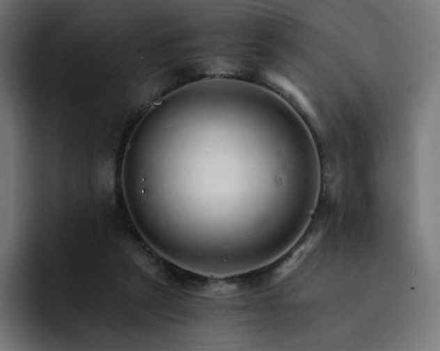 X0000093150257200710101141