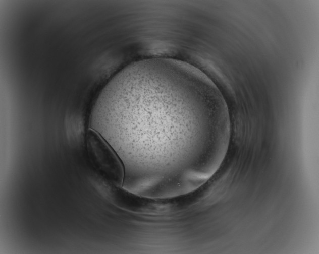 X0000093150260200710101141