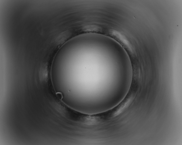 X0000093150261200710101141