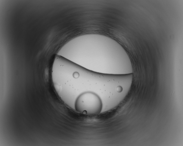 X0000093150262200710101141