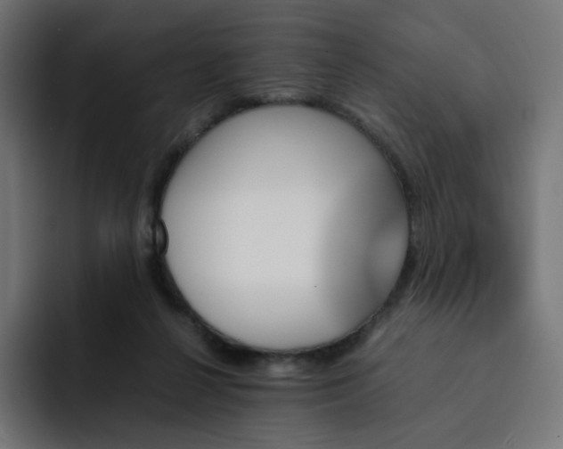 X0000093150264200710101141