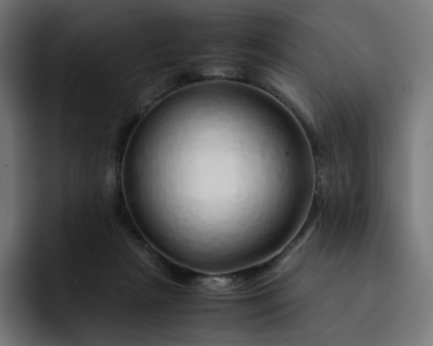 X0000093150265200710101141