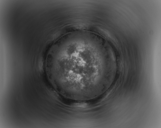 X0000093150266200710101141