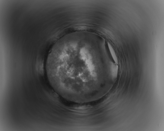 X0000093150267200710101141