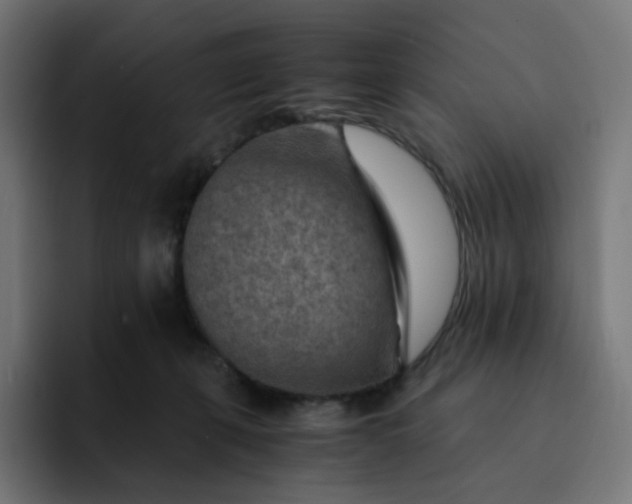 X0000093150271200710101141