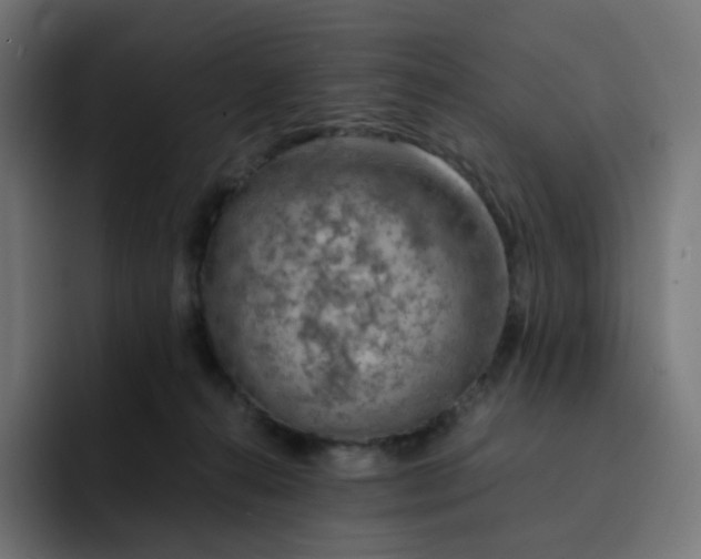 X0000093150272200710101141