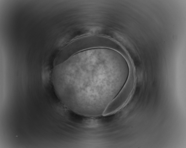 X0000093150276200710101141