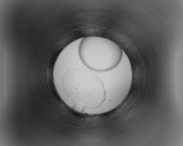 X0000093150278200710101141