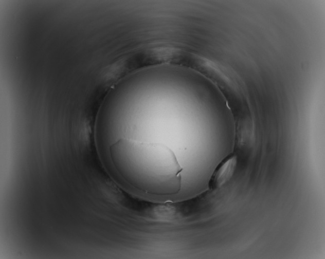 X0000093150279200710101141