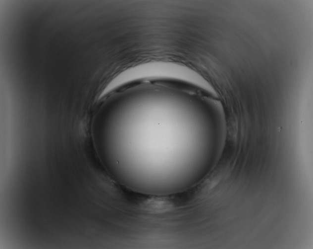 X0000093150280200710101141