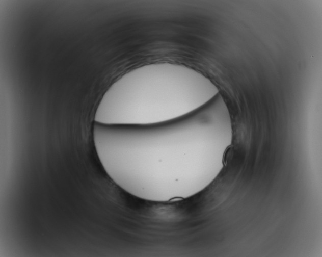 X0000093150283200710101141