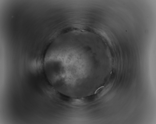 X0000093150285200710101141