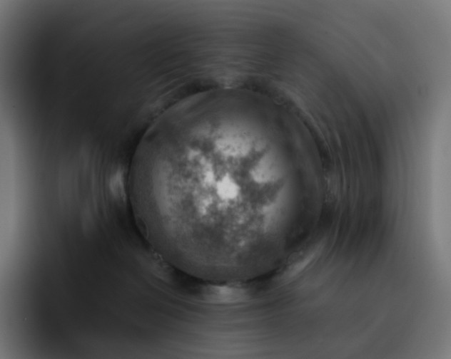 X0000093150286200710101141