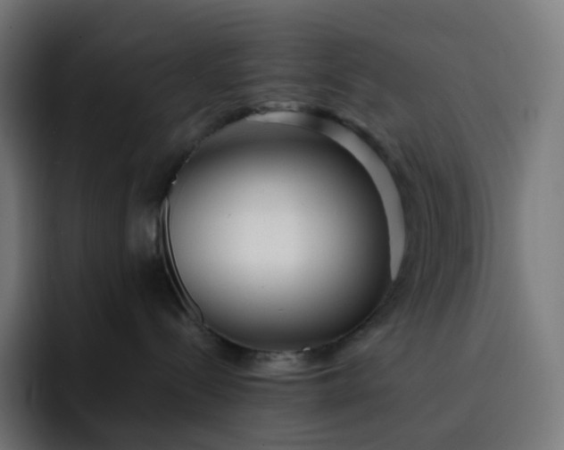 X0000093150288200710101141