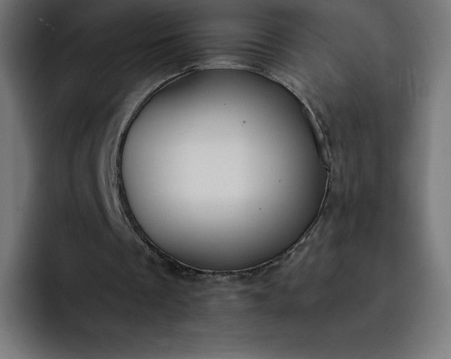 X0000093150289200710101141