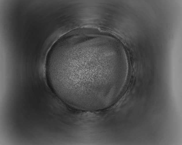 X0000093150290200710101141