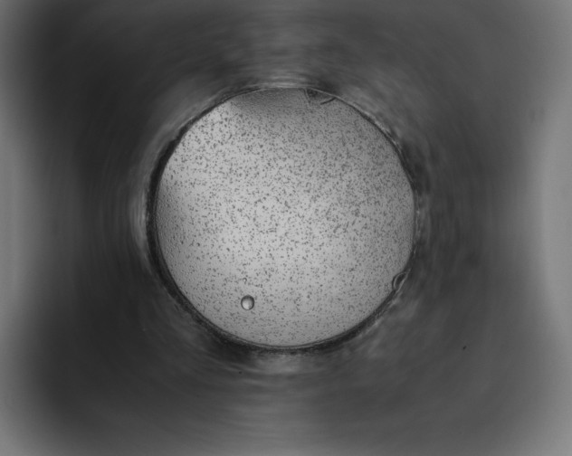 X0000093150293200710101141