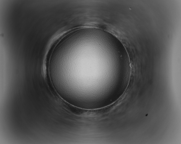 X0000093150294200710101141