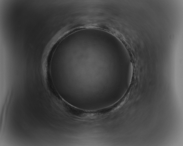 X0000093150295200710101141