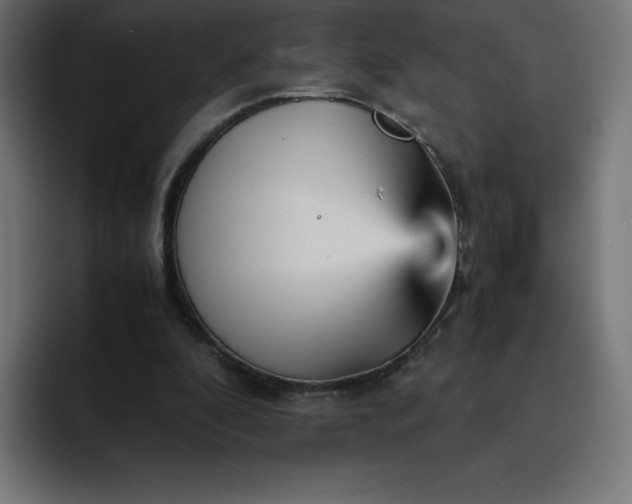 X0000093150296200710101141