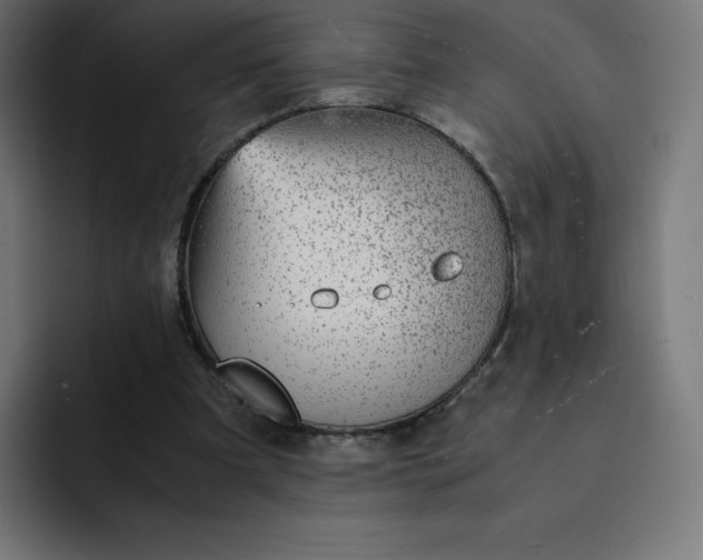 X0000093150297200710101141