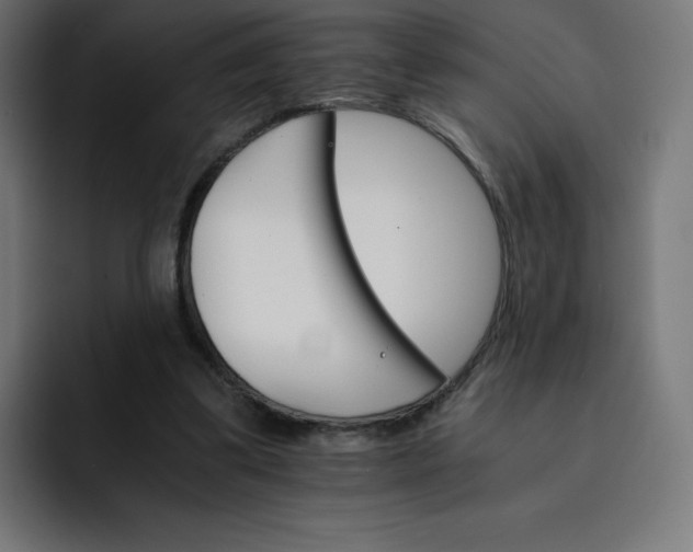 X0000093150299200710101141