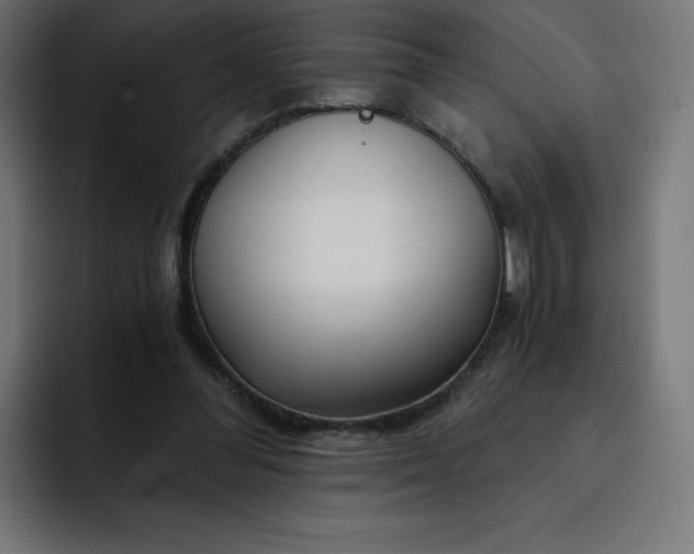 X0000093150300200710101141