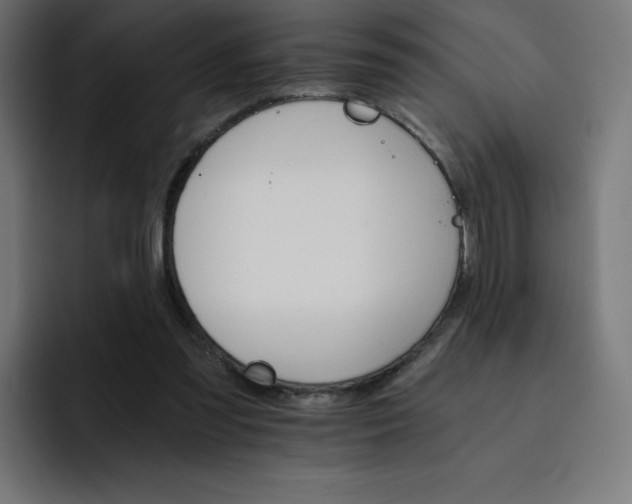 X0000093150301200710101141