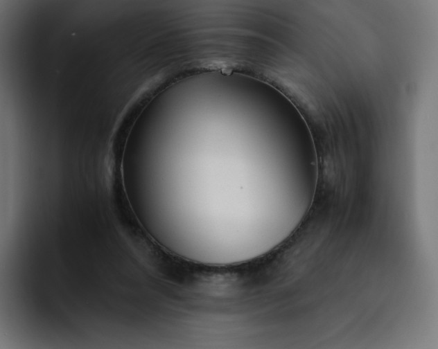 X0000093150304200710101141