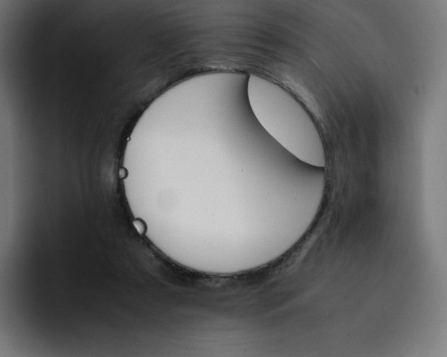 X0000093150305200710101141