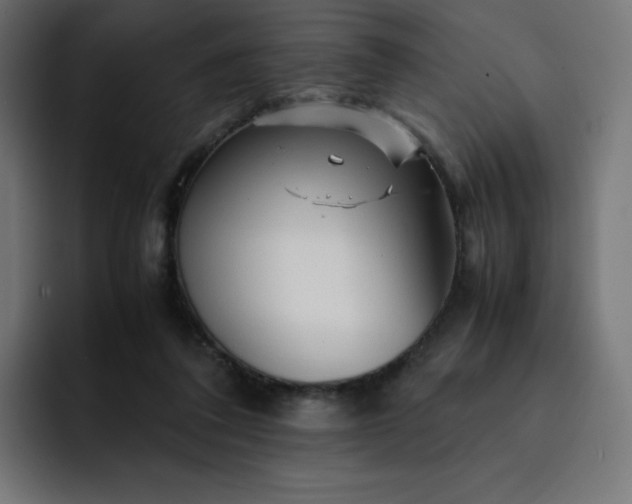 X0000093150308200710101140