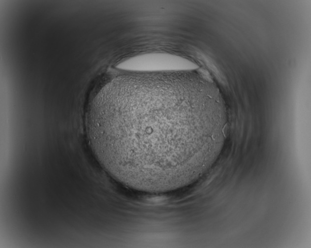 X0000093150313200710101140