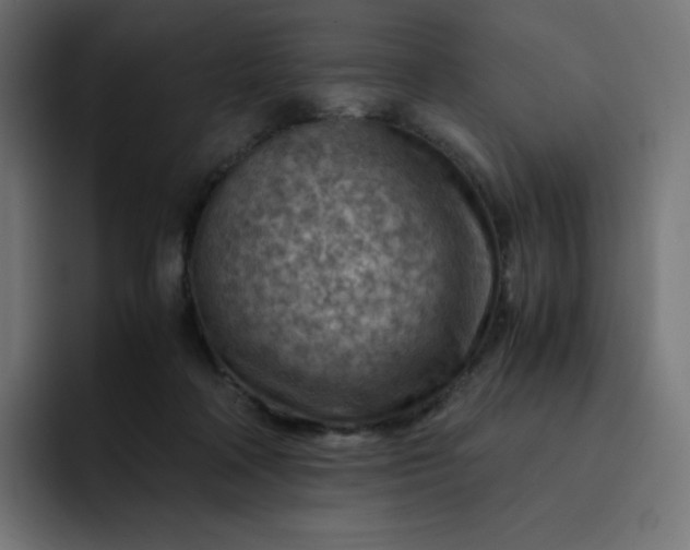 X0000093150314200710101140