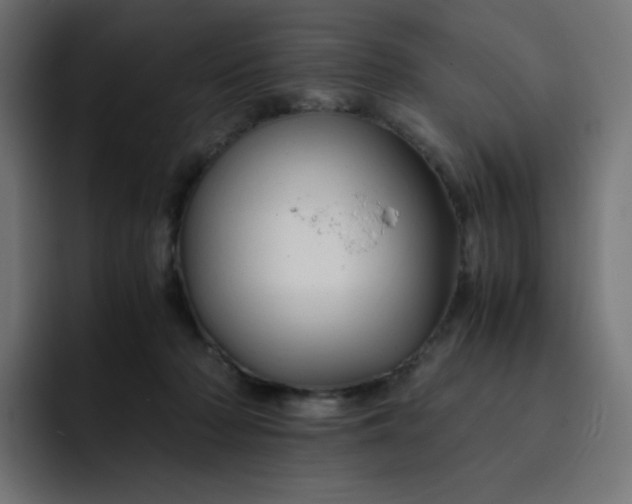 X0000093150318200710101140