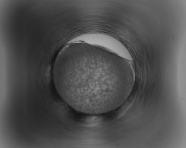 X0000093150319200710101140