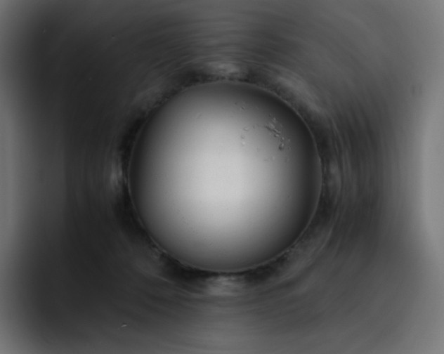 X0000093150320200710101140