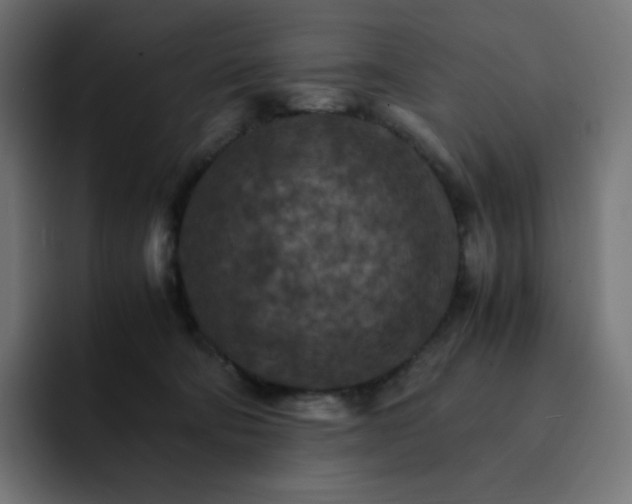 X0000093150322200710101140