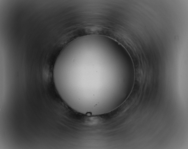 X0000093150324200710101140